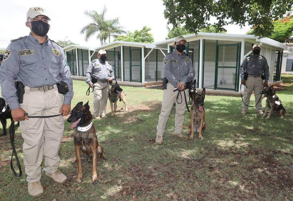 CONCLUYE BOSTON CENTER COLABORACIÓN CON EL CCC