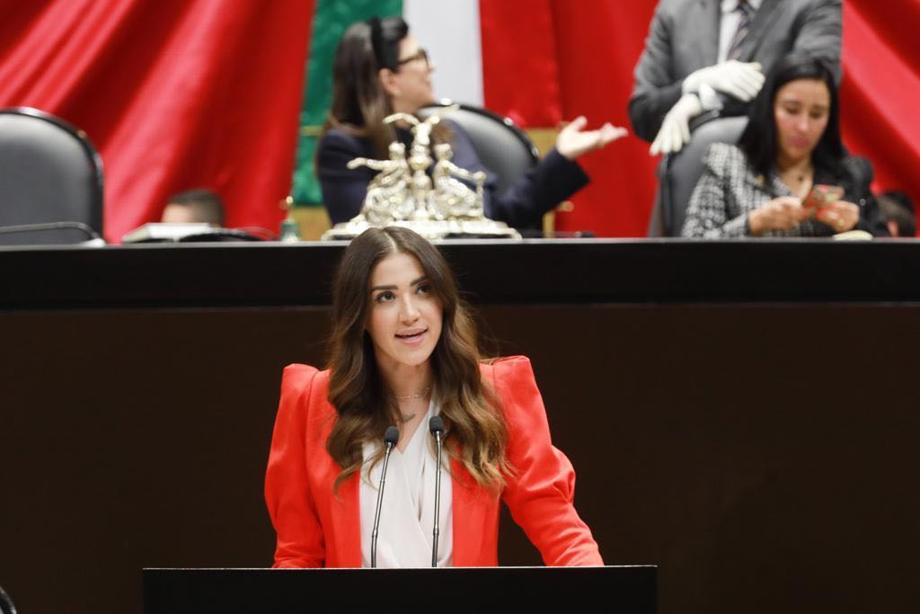 PROPONE PALOMA SÁNCHEZ APOYO ECONÓMICO PARA FAMILIARES DE PERSONAS DESAPARECIDAS