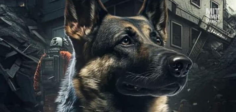 LA MUERTE DE ‘PROTEO’ SE PUDO EVITAR