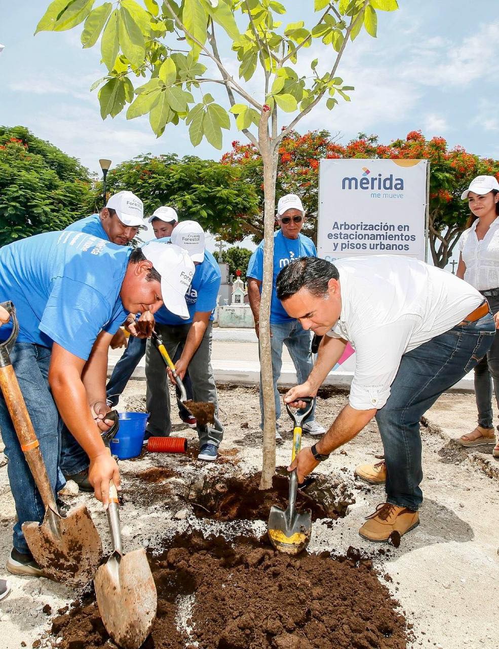 IMPULSA RENÁN BARRERA LA INFRAESTRUCTURA VERDE DE MÉRIDA