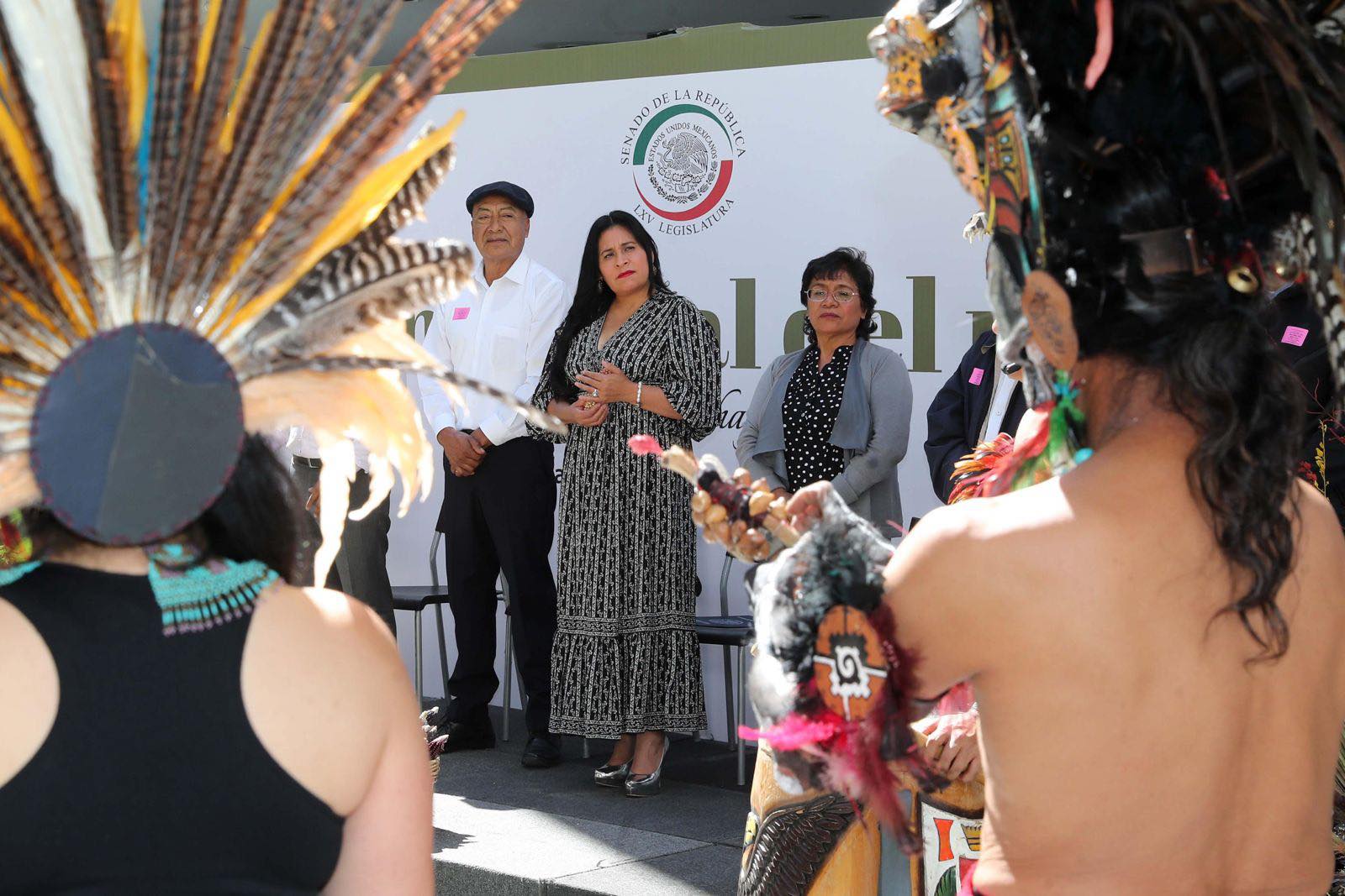 PROPONE ANA LILIA RIVERA HACER VALER DECRETO PARA NO IMPORTAR MÁS MAÍZ TRANSGÉNICO