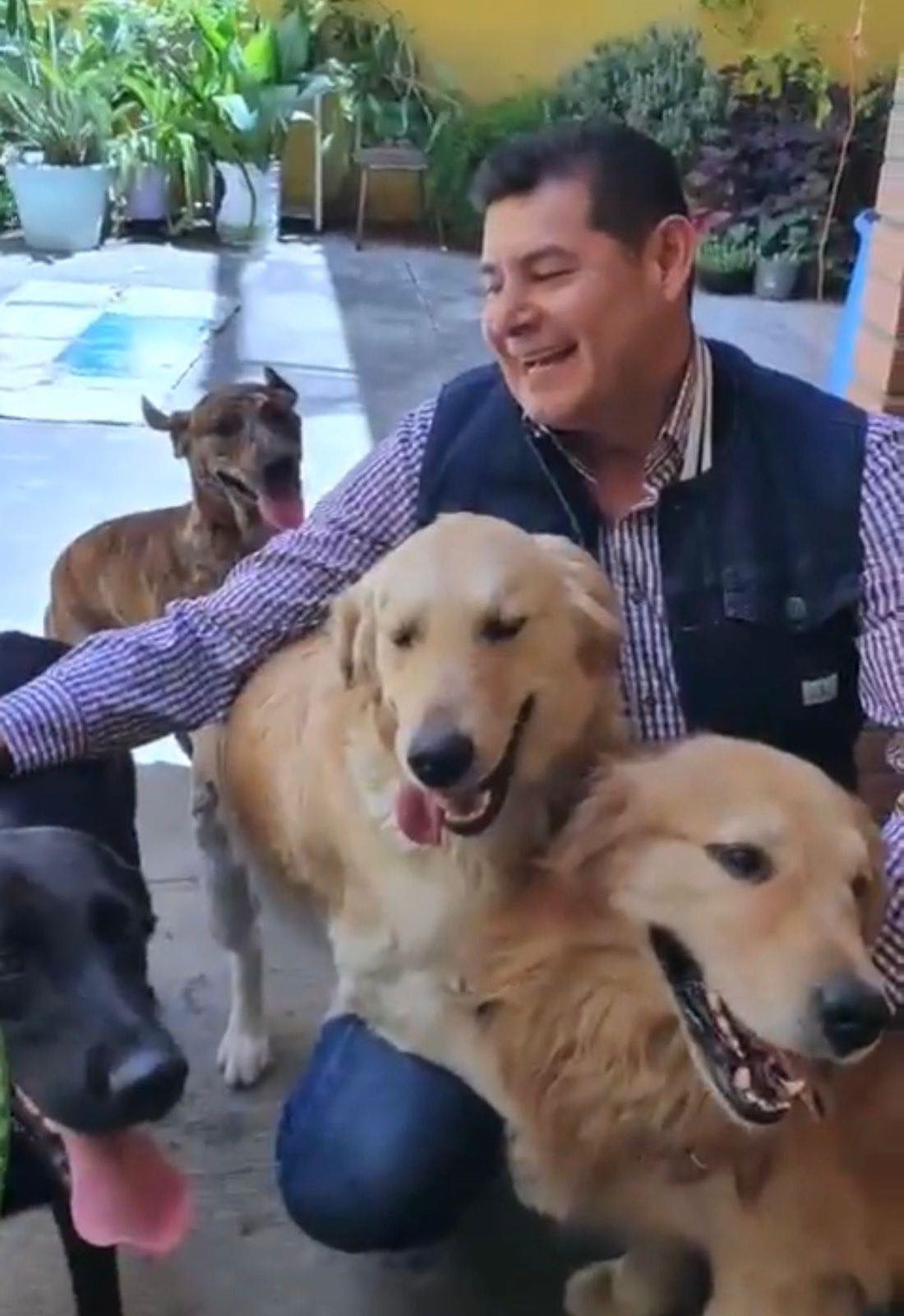 “URGE UNIFICAR REFORMAS QUE GARANTICEN EL BIENESTAR ANIMAL”: ALEJANDRO ARMENTA