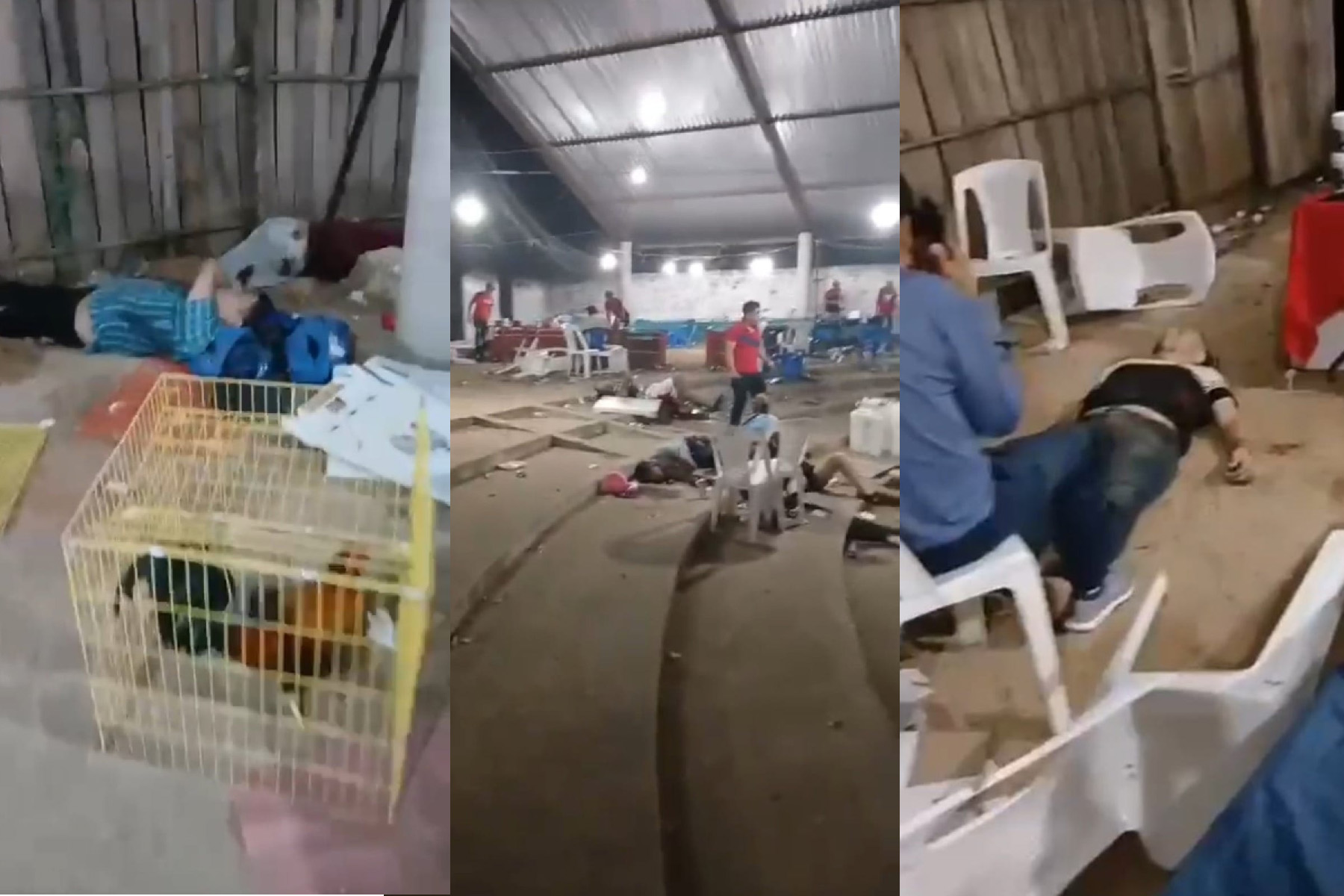 2024, EL AÑO DEL MIEDO