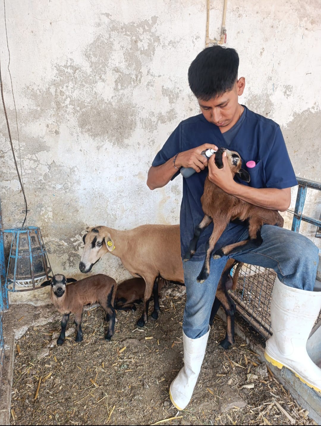 HIDALGO INNOVA EN EDUCACIÓN Y EMPLEO CON LA APP ‘VINCÚLATE’