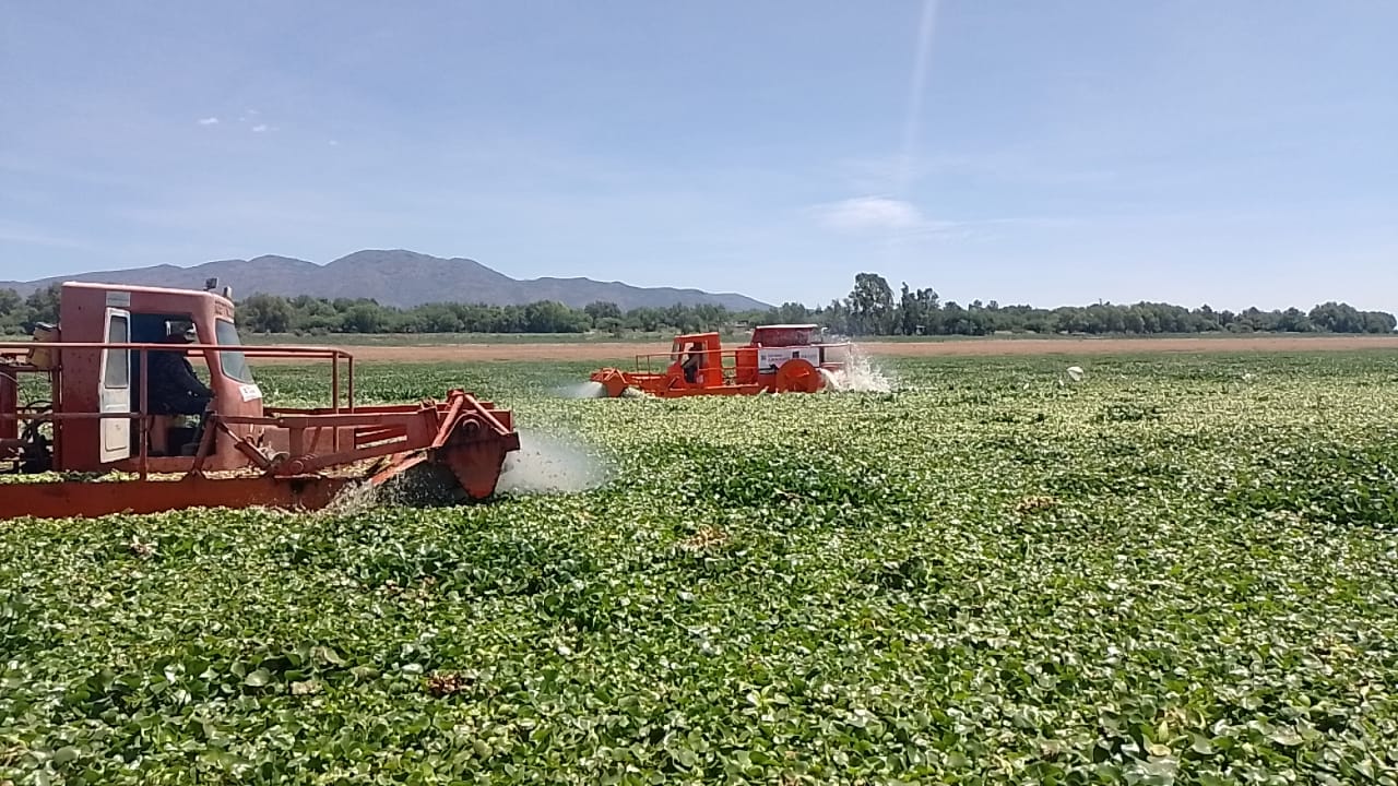 LIMPIAN PRESA ENDHO GOBIERNO FEDERAL Y GOBIERNO DEL ESTADO DE HIDALGO