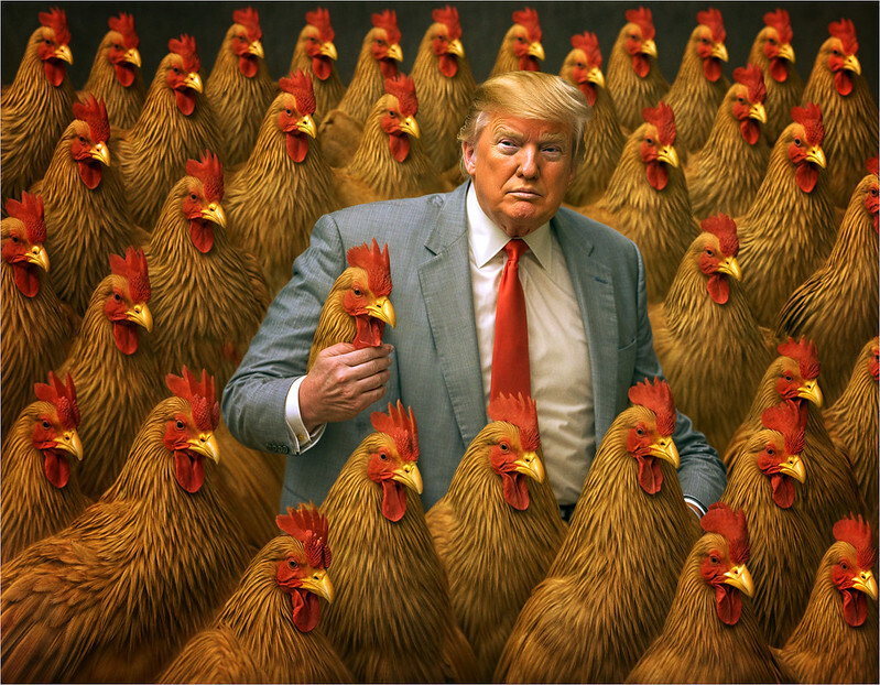 TRUMP ES AHORA ‘TACO’