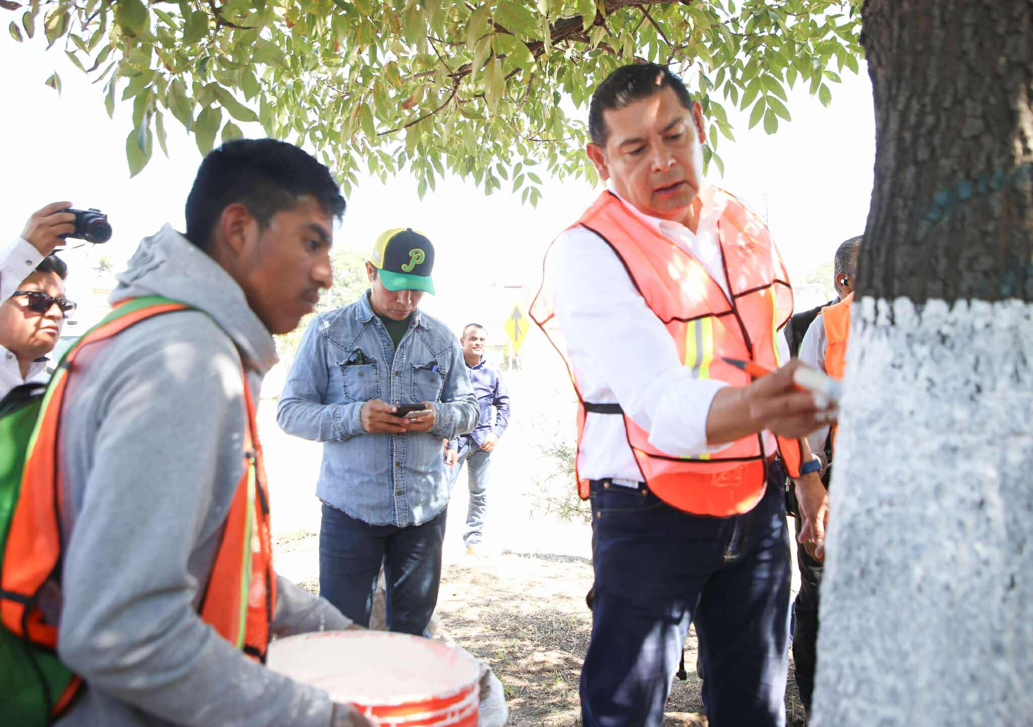 “CON ENCALADO BASADO EN CRITERIOS TÉCNICO-CIENTÍFICOS, PROTEGEMOS EL ARBOLADO URBANO”: ALEJANDRO ARMENTA