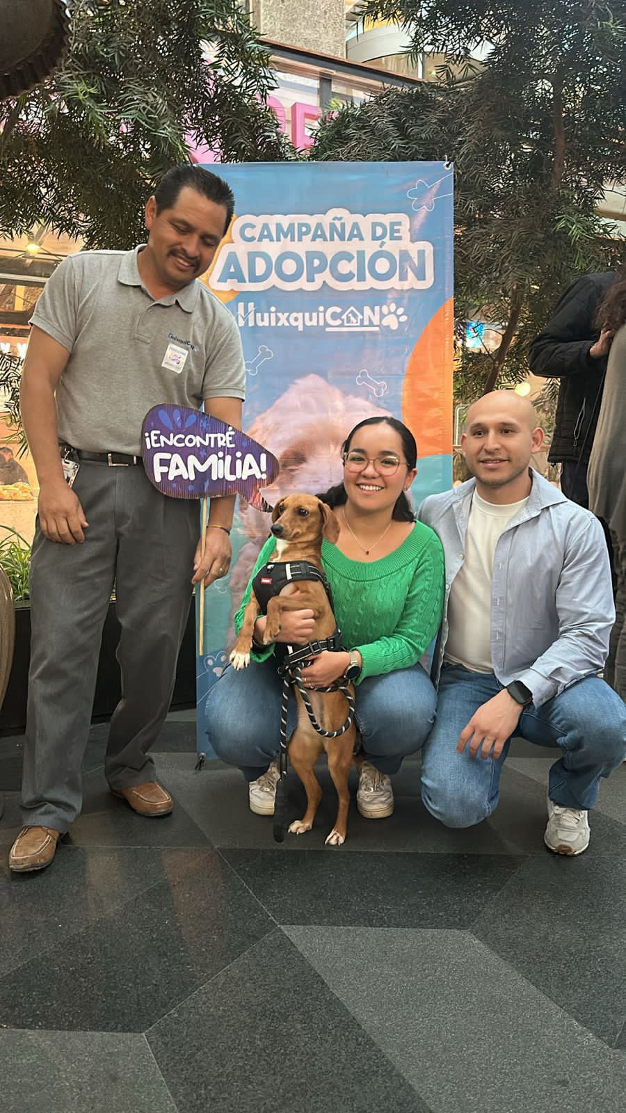 MEJORA HUIXQUILUCAN VIDA DE PERRITOS EN ABANDONO CON MÁS DE 350 ADOPCIONES