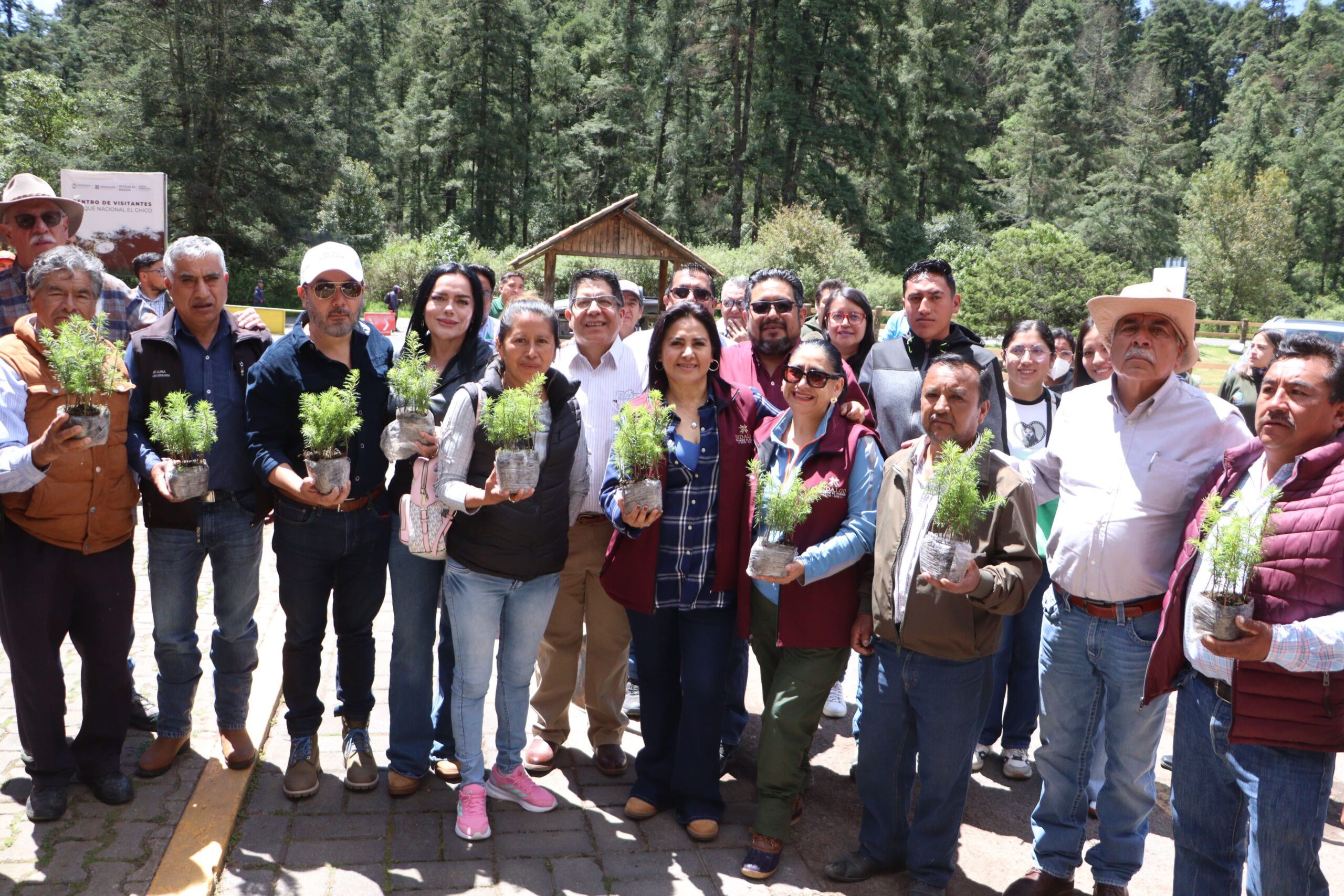 INICIA EL GOBIERNO DE HIDALGO RESTAURACIÓN DEL PARQUE NACIONAL EL CHICO