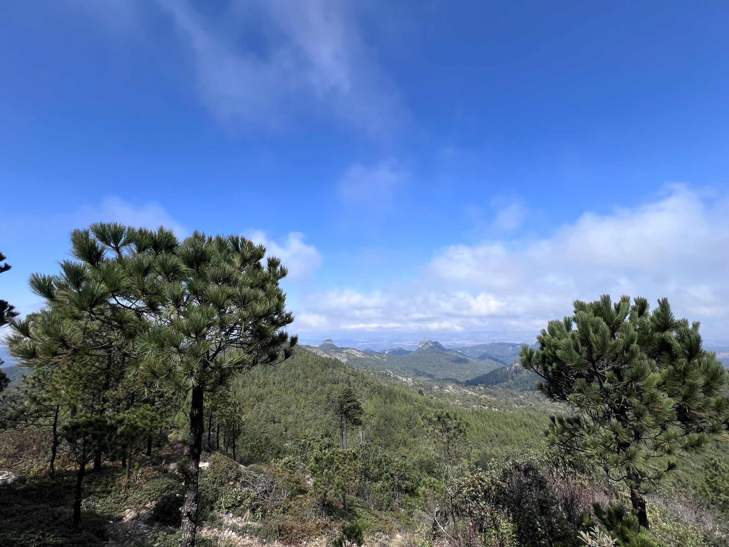 ANUNCIA JULIO MENCHACA RATIFICACIÓN DE UNESCO AL GEOPARQUE COMARCA MINERA EN HIDALGO