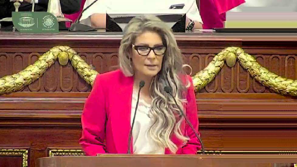 EL OMISO AUDITOR EDWIN MERAZ