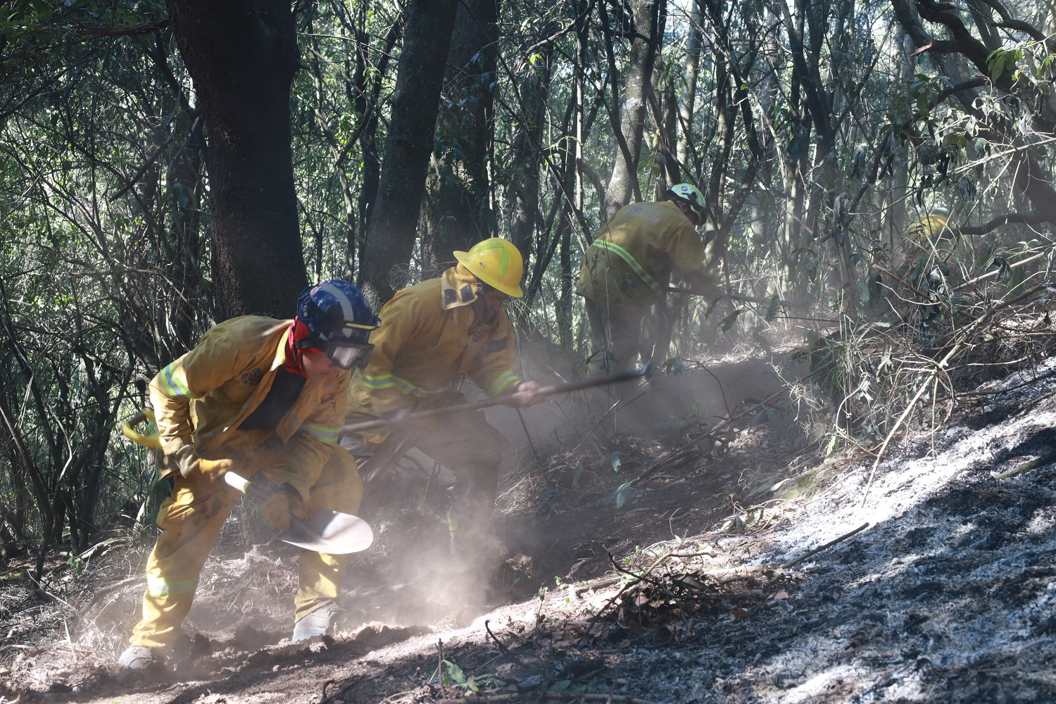 CREA HUIXQUILUCAN MÁS DE 27 MIL METROS CUADRADOS DE BRECHAS CORTAFUEGO PARA COMBATIR INCENDIOS FORESTALES