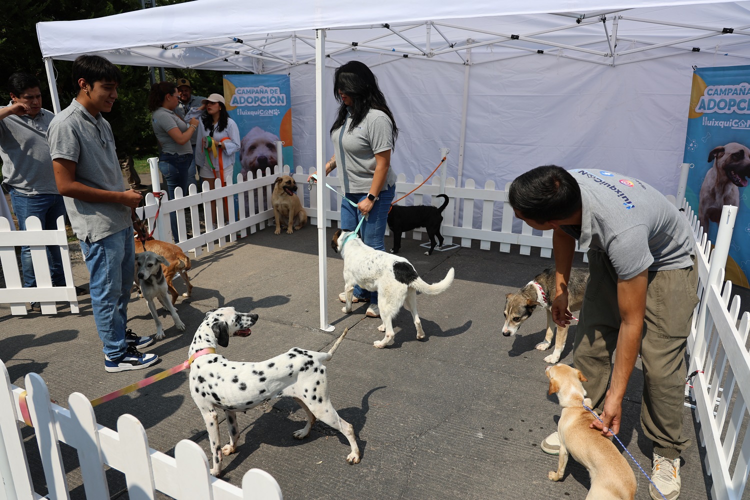 LOGRA ‘HUIXQUILUCAN’ MÁS DE 430 ADOPCIONES DE PERRITOS QUE BUSCABAN UN NUEVO HOGAR