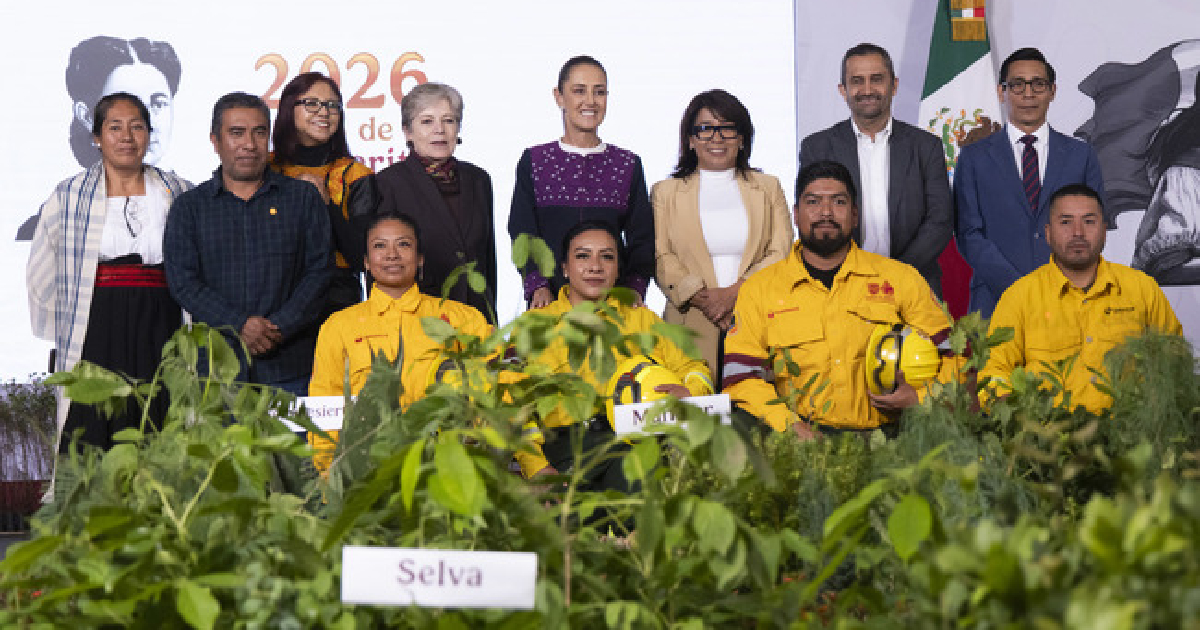 PRESENTA CLAUDIA SHEINBAUM JORNADA NACIONAL DE REFORESTACIÓN 2026; SE LLEVARÁ A CABO EL PRÓXIMO DOMINGO