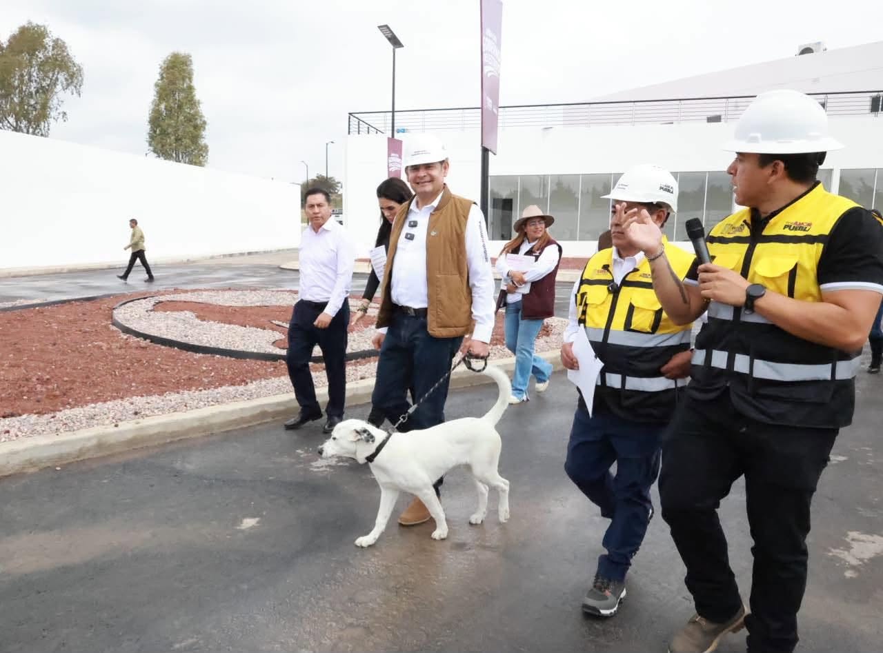 ALCANZA GOBIERNO DE PUEBLA 88% DE AVANCE EN CÉLULA DE BIENESTAR ANIMAL