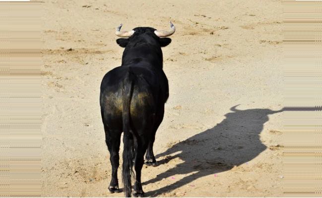 CORRIDAS DE TOROS SIN SANGRE, LA ÚNICA SALIDA