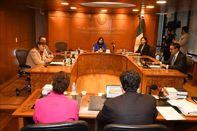 EL SERVIL CONSEJO DE LA JUDICATURA PASÓ A SER EL CONSEJO DE LA CARICATURA