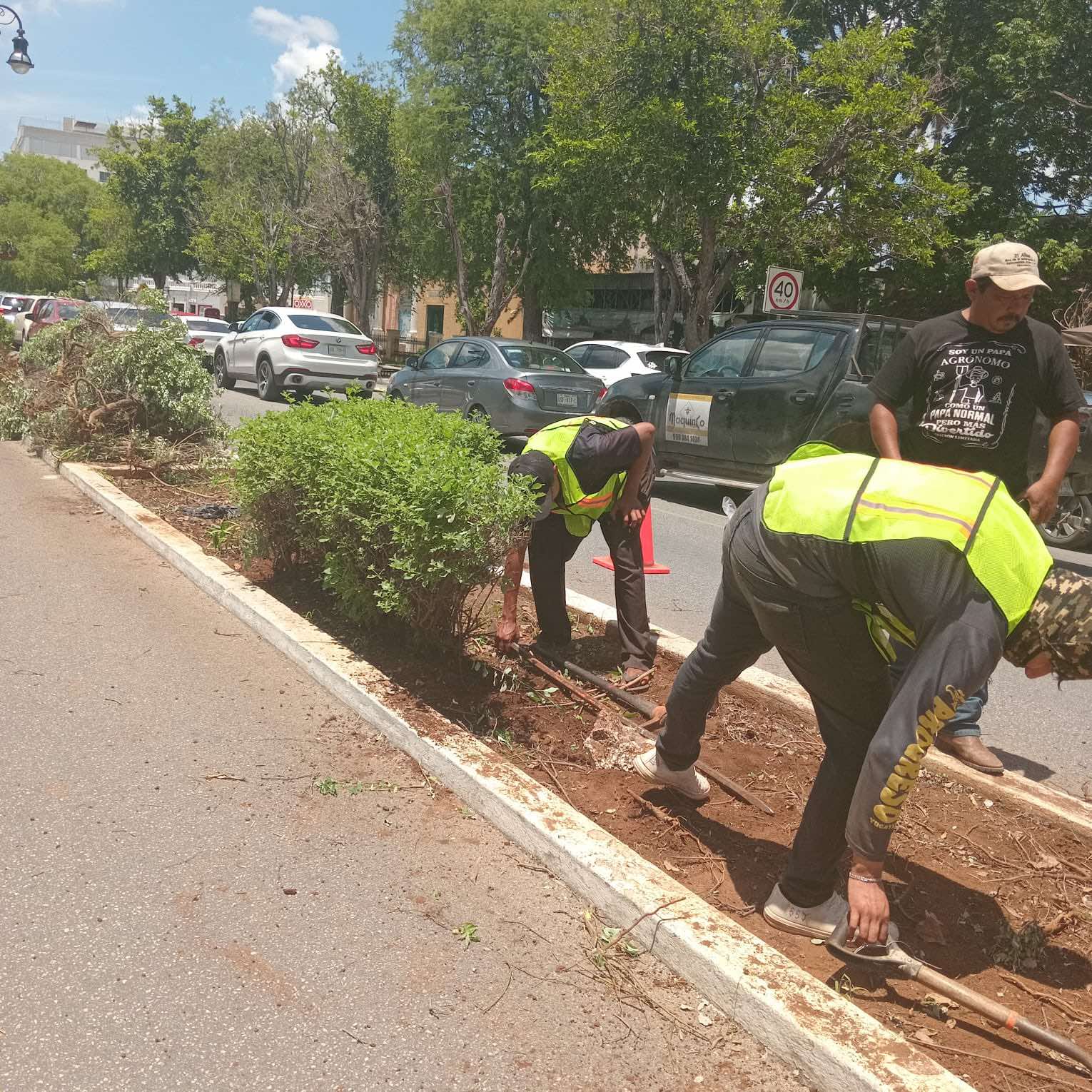 MODERNIZA AYUNTAMIENTO DE MÉRIDA SISTEMA DE RIEGO EN PASEO MONTEJO