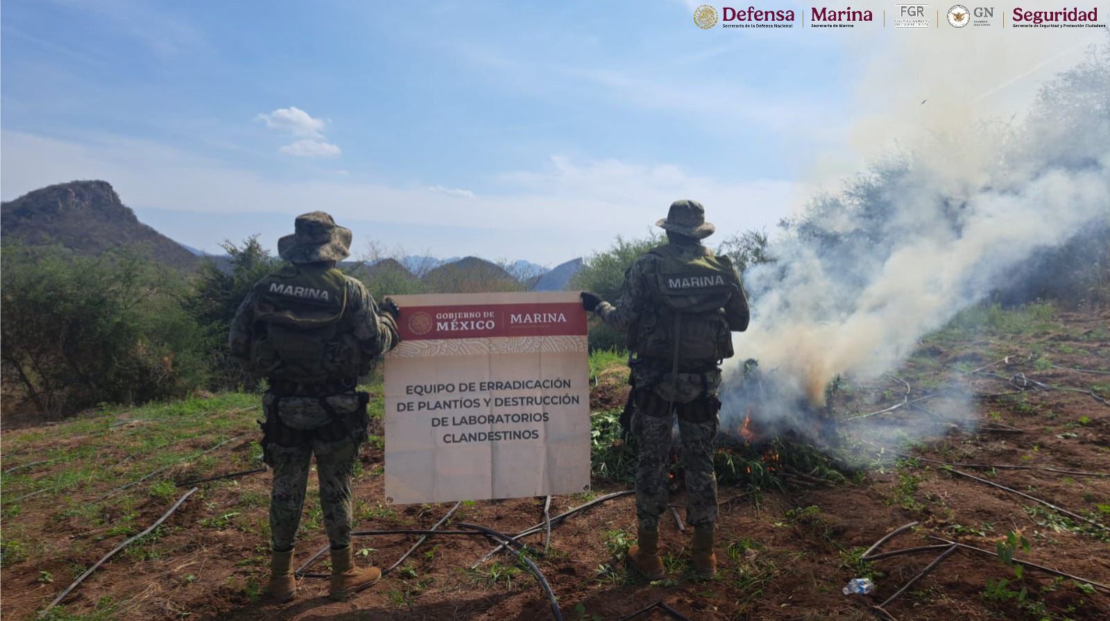 INFORMA EL GABINETE DE SEGURIDAD DEL GOBIERNO DE MÉXICO SOBRE ACCIONES RELEVANTES REALIZADAS