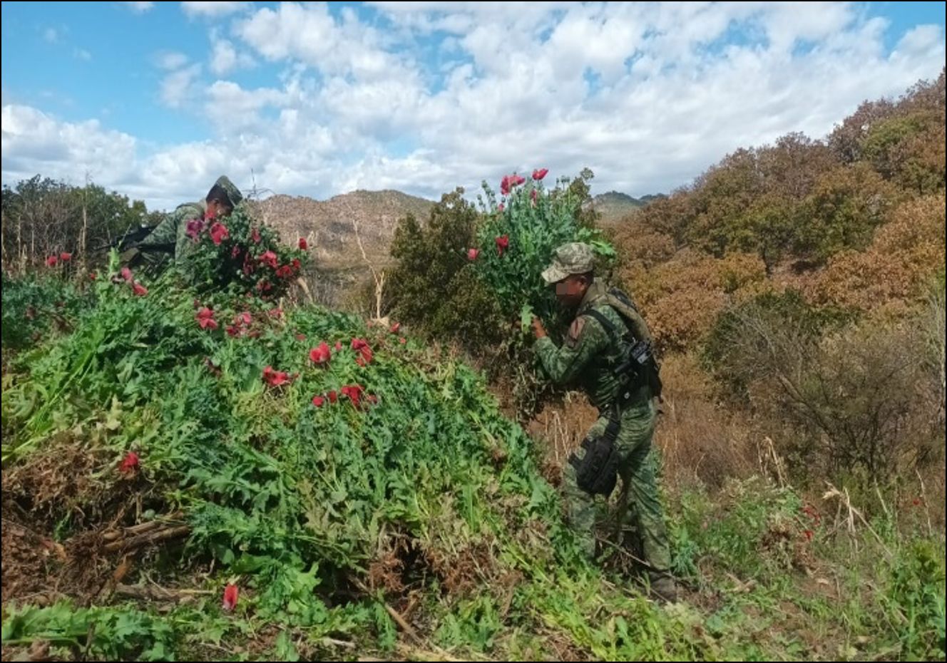 EL GABINETE DE SEGURIDAD DEL GOBIERNO DE MÉXICO INFORMA ACCIONES RELEVANTES DEL MIÉRCOLES 4 DE DICIEMBRE DE 2024