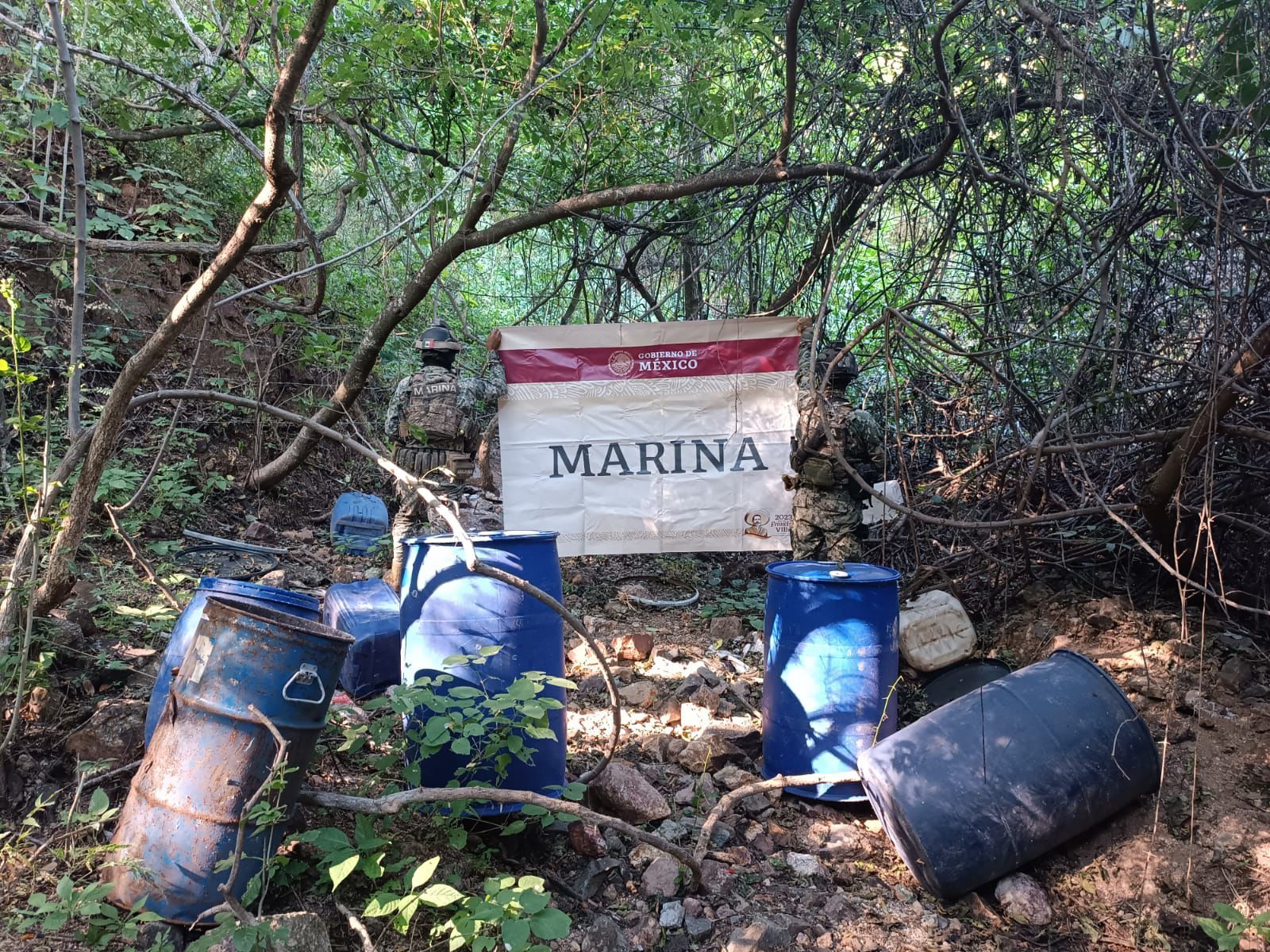 INFORME DEL GABINETE DE SEGURIDAD; ACCIONES DEL MIÉRCOLES 20 DE NOVIEMBRE DE 2024