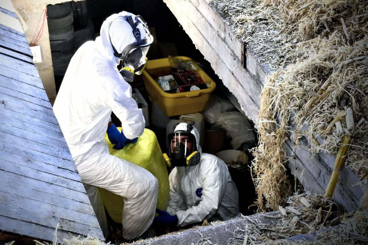 EN DIFERENTES ACCIONES DETIENEN EN SINALOA A 8 PERSONAS CON ARMAMENTO Y ESTUPEFACIENTES