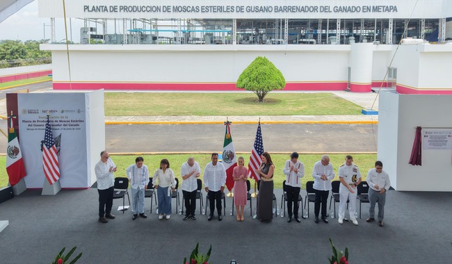 INAUGURA CLAUDIA SHEINBAUM PLANTA DE PRODUCCION DE MOSCAS ESTERILES