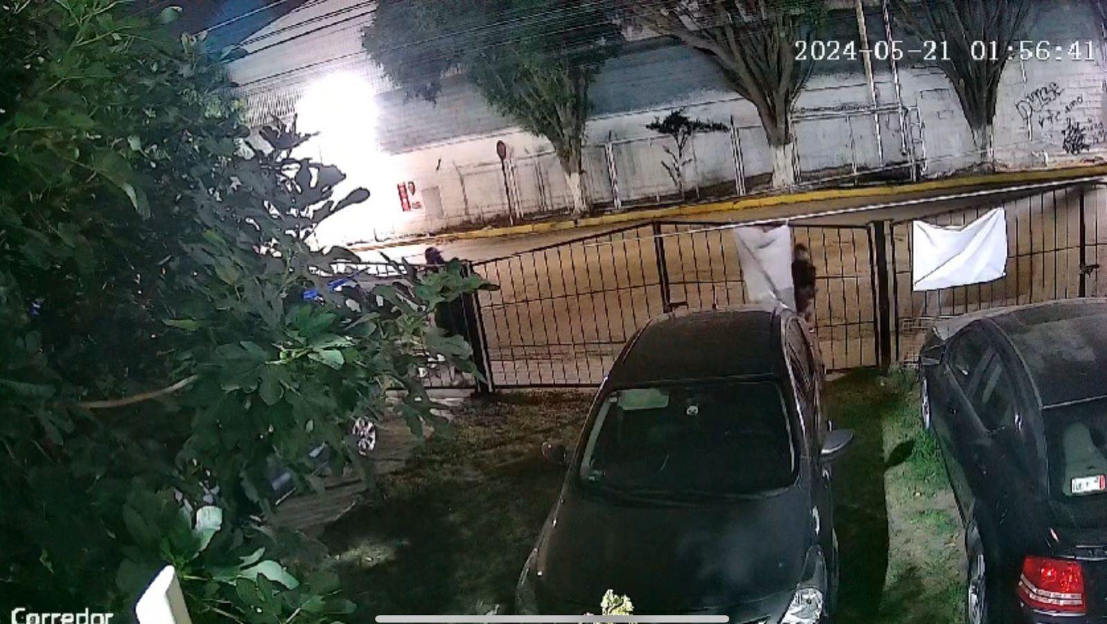 DENUNCIA CANDIDATA DE MORENA DELITOS ELECTORALES EN CUAUTITLÁN