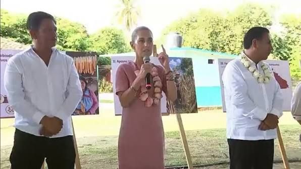 CONSERVAR EL MAIZ NATIVO ES DEFENDER LA SOBERANIA ALIMENTARIA